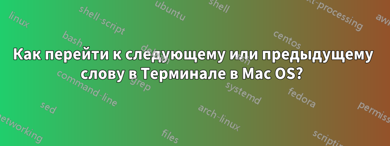 Как перейти к следующему или предыдущему слову в Терминале в Mac OS? 