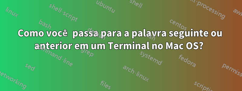 Como você passa para a palavra seguinte ou anterior em um Terminal no Mac OS? 