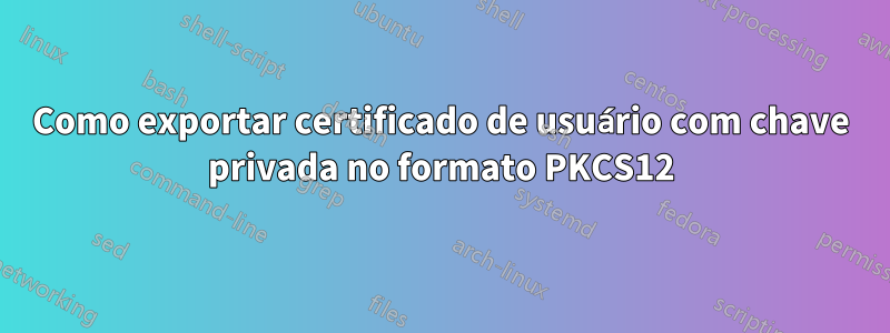 Como exportar certificado de usuário com chave privada no formato PKCS12