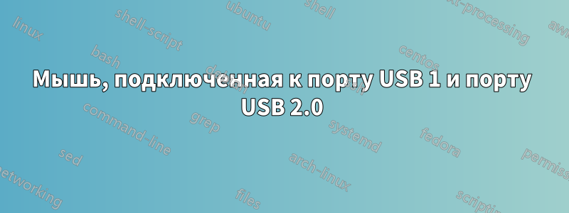 Мышь, подключенная к порту USB 1 и порту USB 2.0