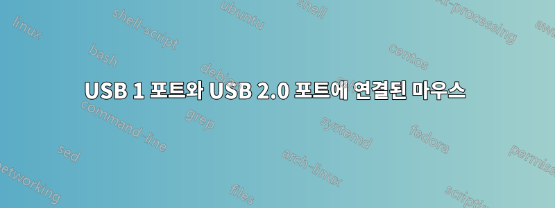 USB 1 포트와 USB 2.0 포트에 연결된 마우스