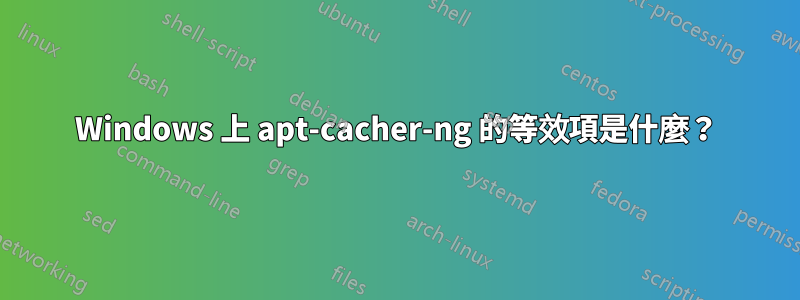 Windows 上 apt-cacher-ng 的等效項是什麼？