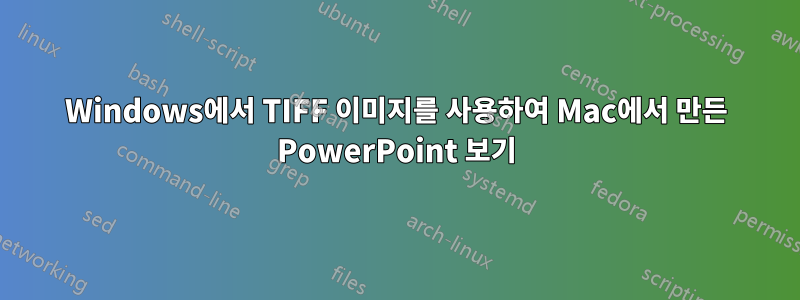 Windows에서 TIFF 이미지를 사용하여 Mac에서 만든 PowerPoint 보기