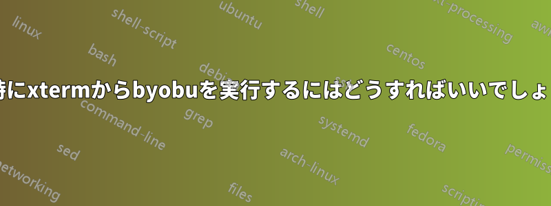 起動時にxtermからbyobuを実行するにはどうすればいいでしょうか?