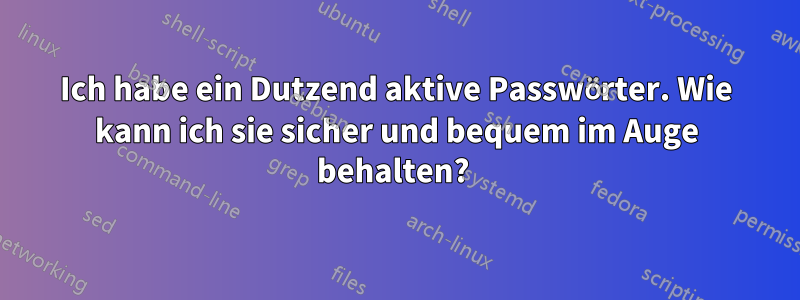 Ich habe ein Dutzend aktive Passwörter. Wie kann ich sie sicher und bequem im Auge behalten? 