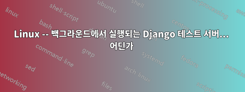 Linux -- 백그라운드에서 실행되는 Django 테스트 서버... 어딘가