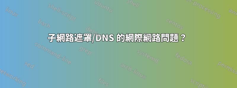 子網路遮罩/DNS 的網際網路問題？