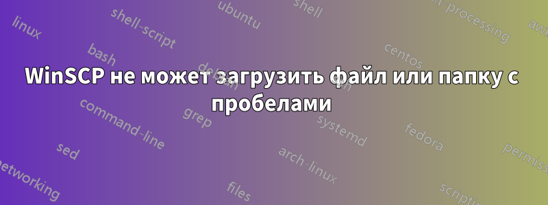 WinSCP не может загрузить файл или папку с пробелами