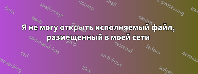 Я не могу открыть исполняемый файл, размещенный в моей сети