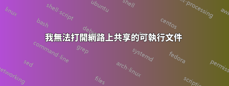 我無法打開網路上共享的可執行文件