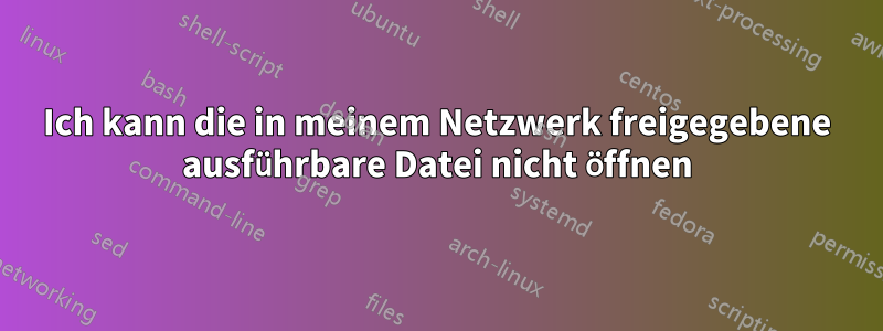 Ich kann die in meinem Netzwerk freigegebene ausführbare Datei nicht öffnen