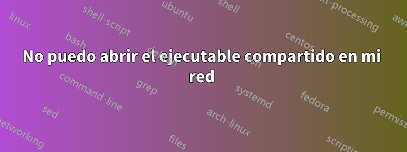 No puedo abrir el ejecutable compartido en mi red