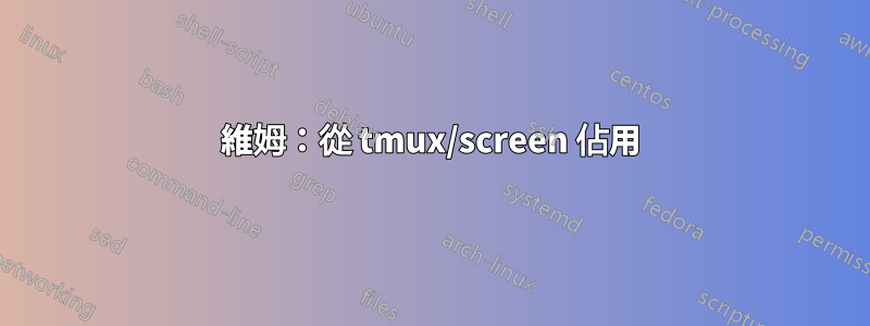 維姆：從 tmux/screen 佔用