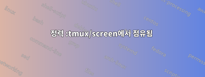 정력 :tmux/screen에서 점유됨