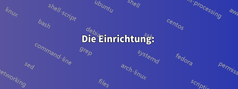 Die Einrichtung: