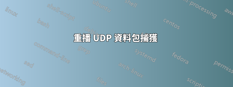 重播 UDP 資料包捕獲