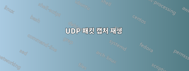 UDP 패킷 캡처 재생