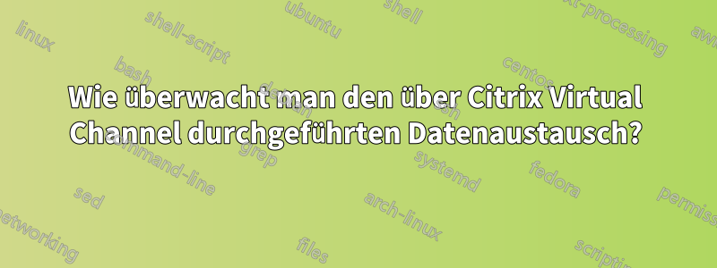 Wie überwacht man den über Citrix Virtual Channel durchgeführten Datenaustausch?