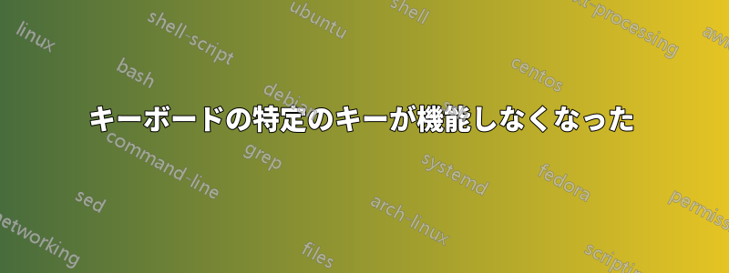 キーボードの特定のキーが機能しなくなった