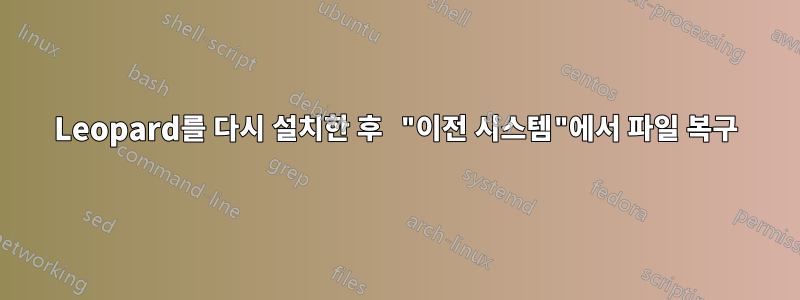 Leopard를 다시 설치한 후 "이전 시스템"에서 파일 복구