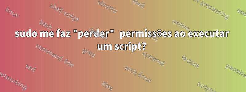 sudo me faz "perder" permissões ao executar um script?