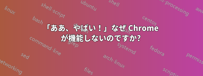 「ああ、やばい！」なぜ Chrome が機能しないのですか?