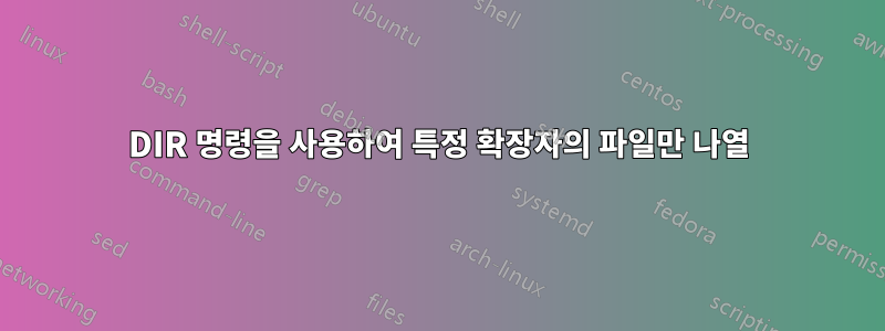 DIR 명령을 사용하여 특정 확장자의 파일만 나열