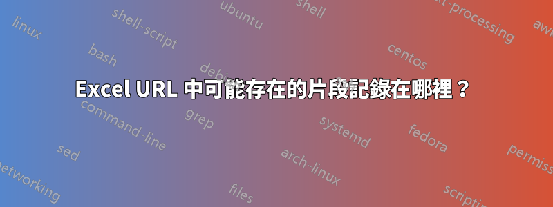 Excel URL 中可能存在的片段記錄在哪裡？