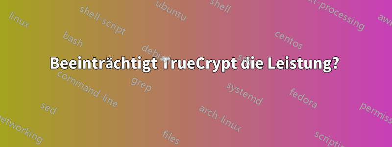 Beeinträchtigt TrueCrypt die Leistung?