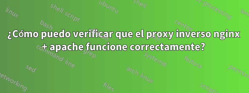 ¿Cómo puedo verificar que el proxy inverso nginx + apache funcione correctamente?