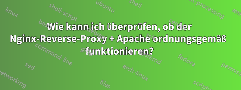 Wie kann ich überprüfen, ob der Nginx-Reverse-Proxy + Apache ordnungsgemäß funktionieren?