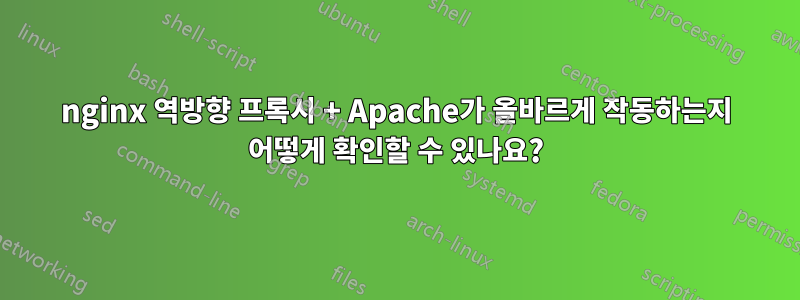 nginx 역방향 프록시 + Apache가 올바르게 작동하는지 어떻게 확인할 수 있나요?