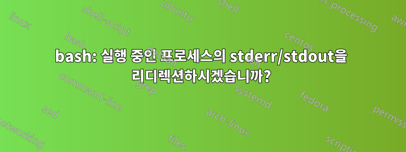 bash: 실행 중인 프로세스의 stderr/stdout을 리디렉션하시겠습니까?