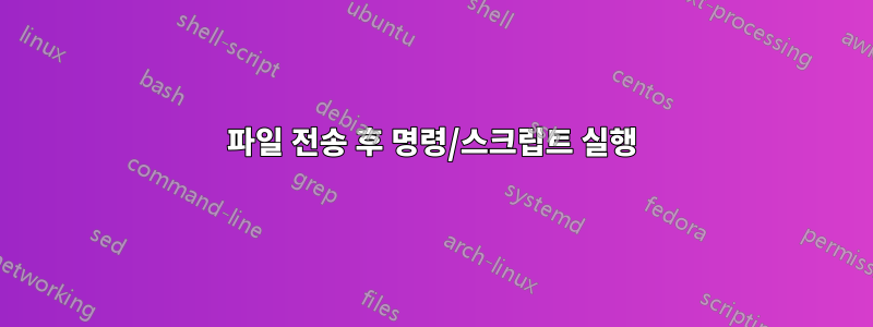 파일 전송 후 명령/스크립트 실행