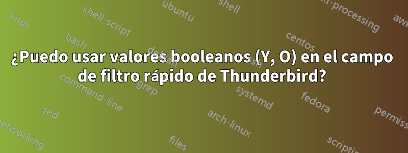 ¿Puedo usar valores booleanos (Y, O) en el campo de filtro rápido de Thunderbird?