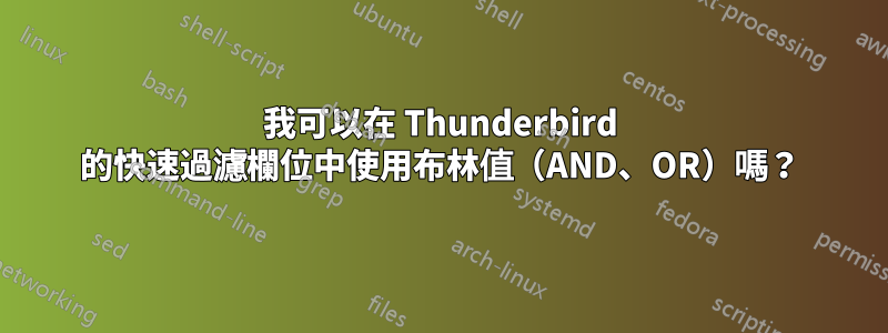 我可以在 Thunderbird 的快速過濾欄位中使用布林值（AND、OR）嗎？