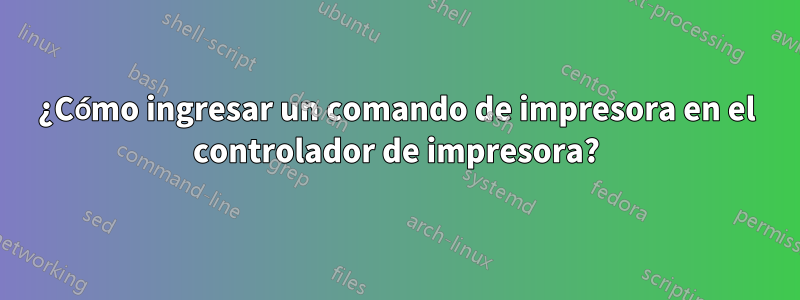 ¿Cómo ingresar un comando de impresora en el controlador de impresora?