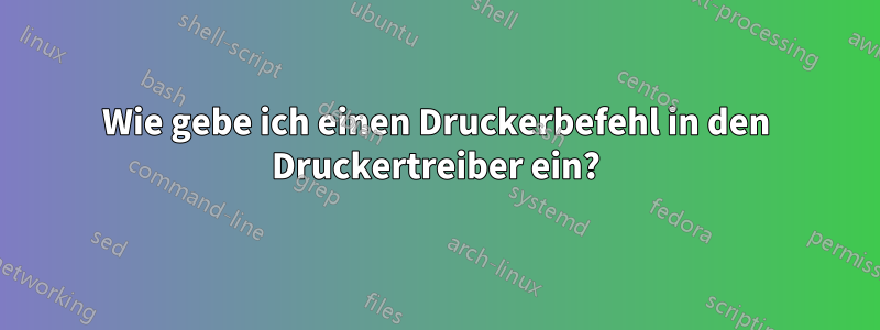 Wie gebe ich einen Druckerbefehl in den Druckertreiber ein?