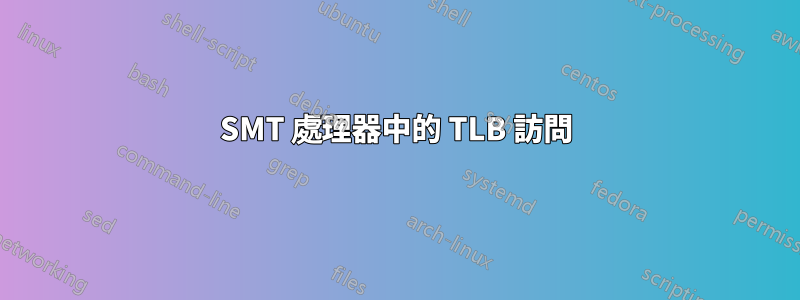 SMT 處理器中的 TLB 訪問