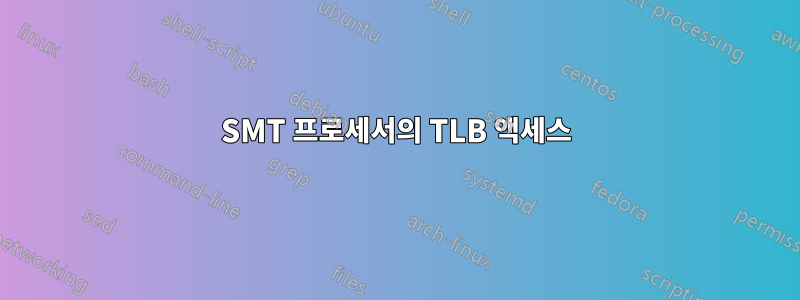 SMT 프로세서의 TLB 액세스