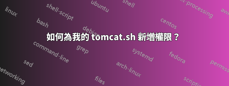 如何為我的 tomcat.sh 新增權限？