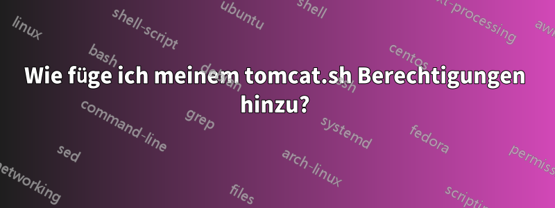 Wie füge ich meinem tomcat.sh Berechtigungen hinzu?