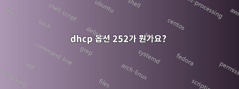 dhcp 옵션 252가 뭔가요?