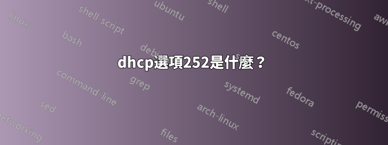 dhcp選項252是什麼？