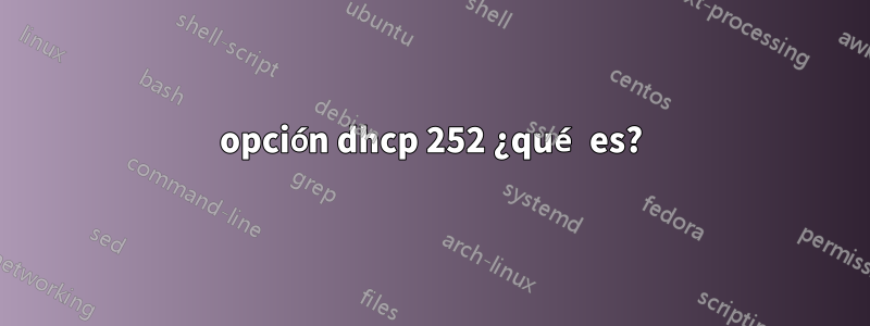 opción dhcp 252 ¿qué es?