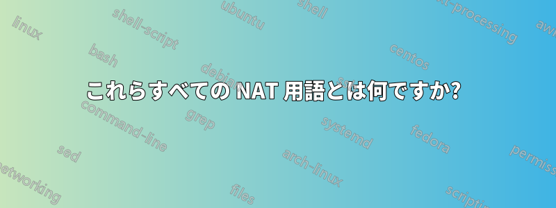 これらすべての NAT 用語とは何ですか? 