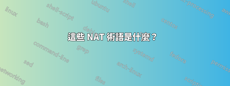 這些 NAT 術語是什麼？ 