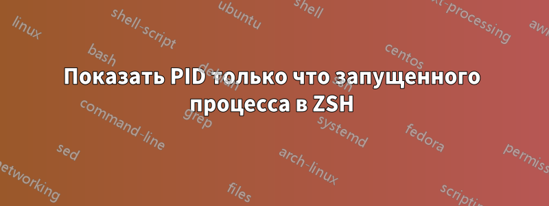 Показать PID только что запущенного процесса в ZSH