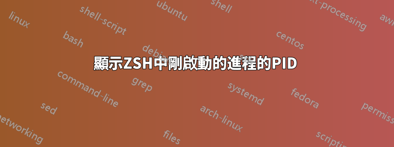 顯示ZSH中剛啟動的進程的PID