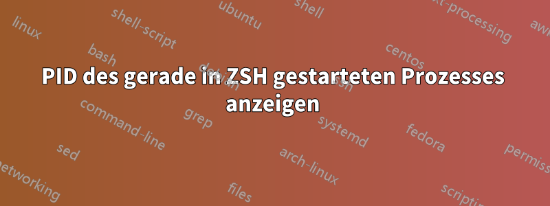 PID des gerade in ZSH gestarteten Prozesses anzeigen